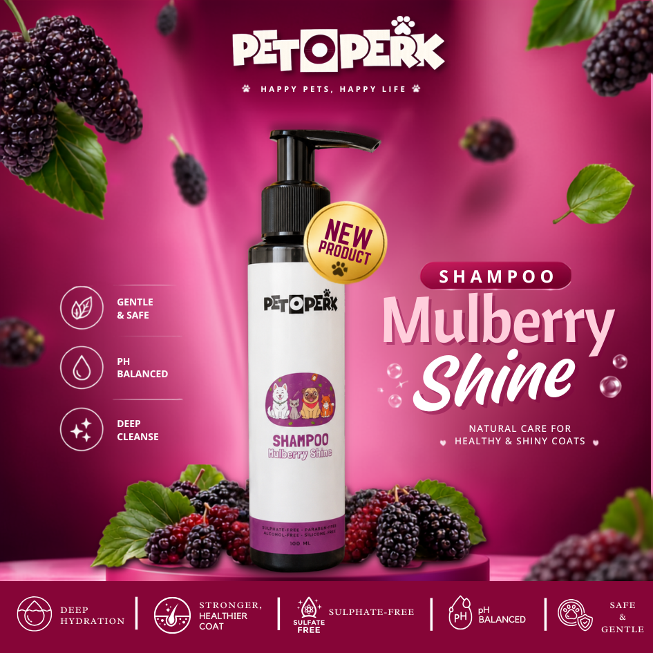Shampoo Mulberry Shine